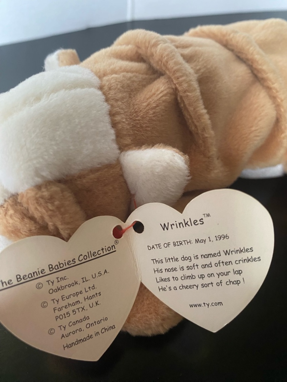 Ty Wrinkles Plush Dog – Cream and Tan Beanie Baby